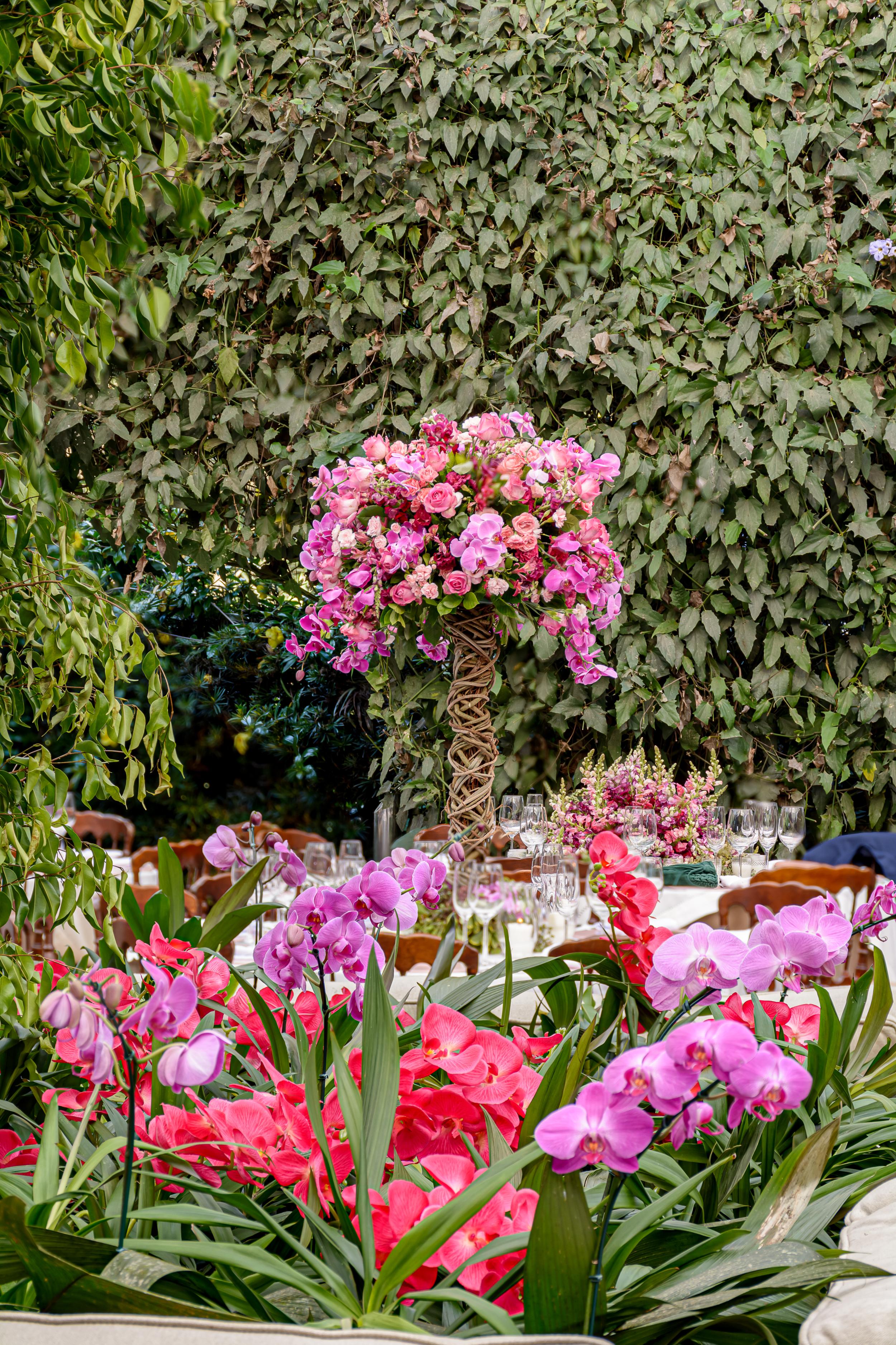 Epifania Pink